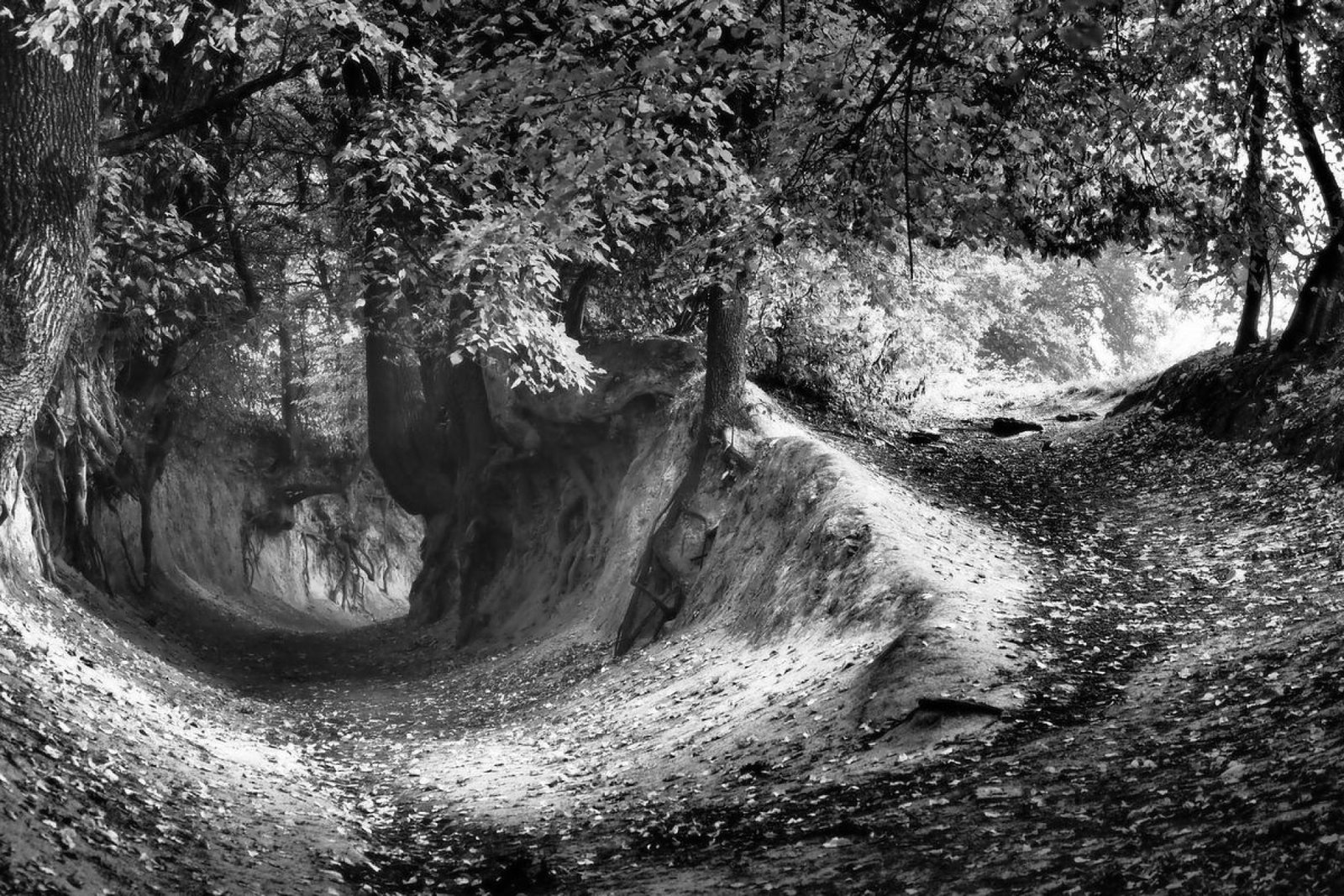 European Photography Awards Winner - Mysterious Gorge 