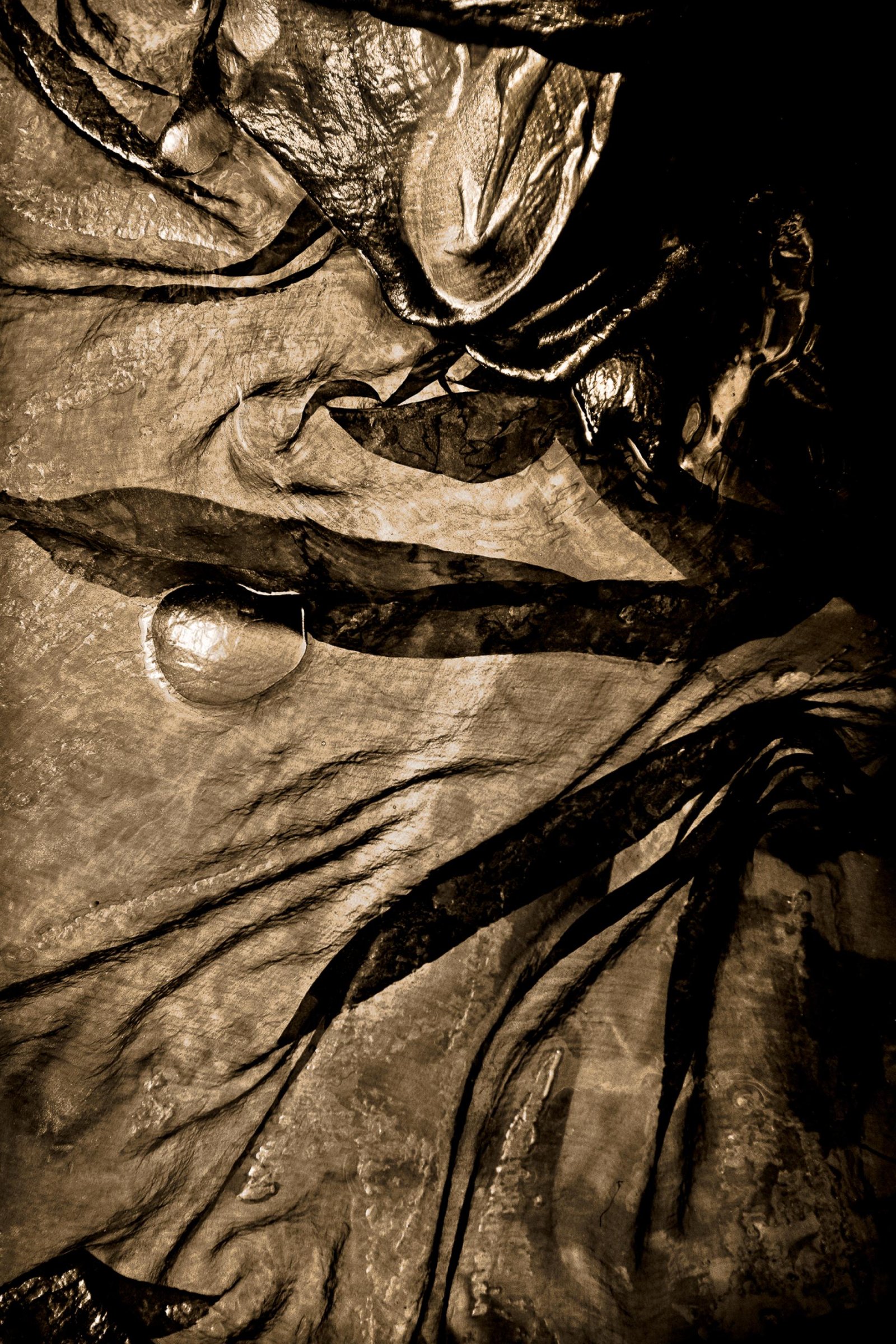 European Photography Awards Winner - Chrysopoeia Distortions