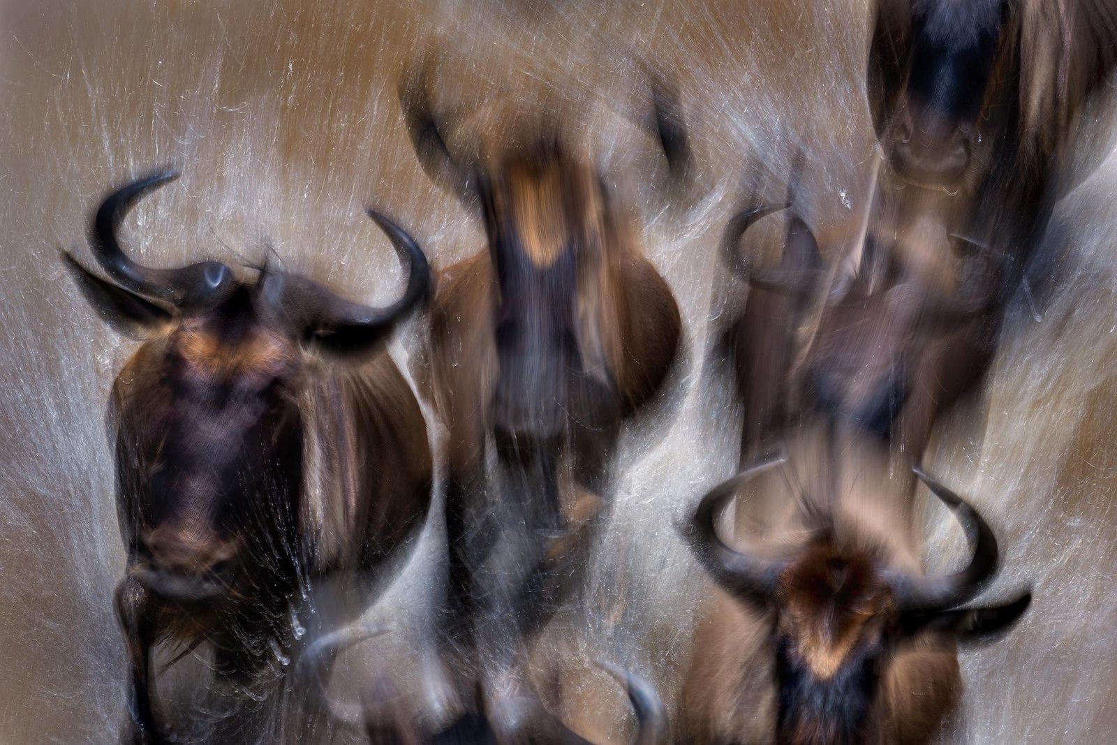 European Photography Awards Winner - Chaos in Motion