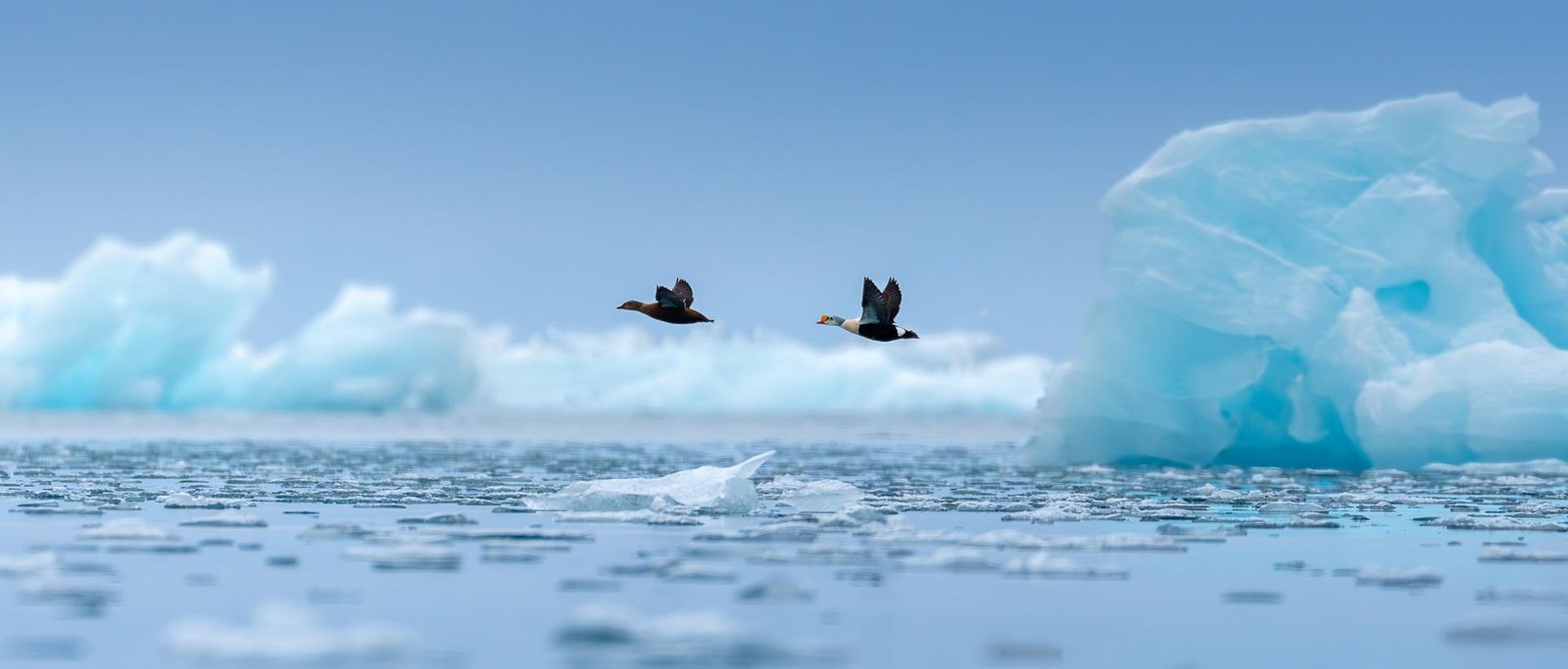 European Photography Awards Winner - Ice Passage