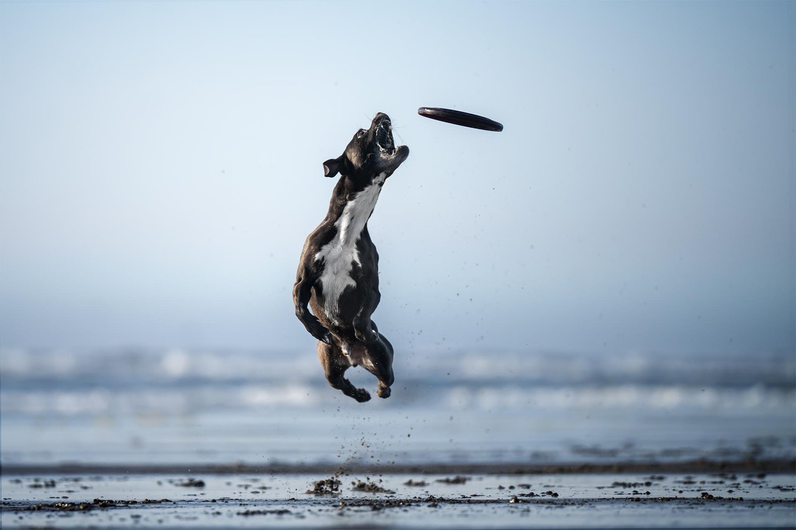 European Photography Awards Winner - All In