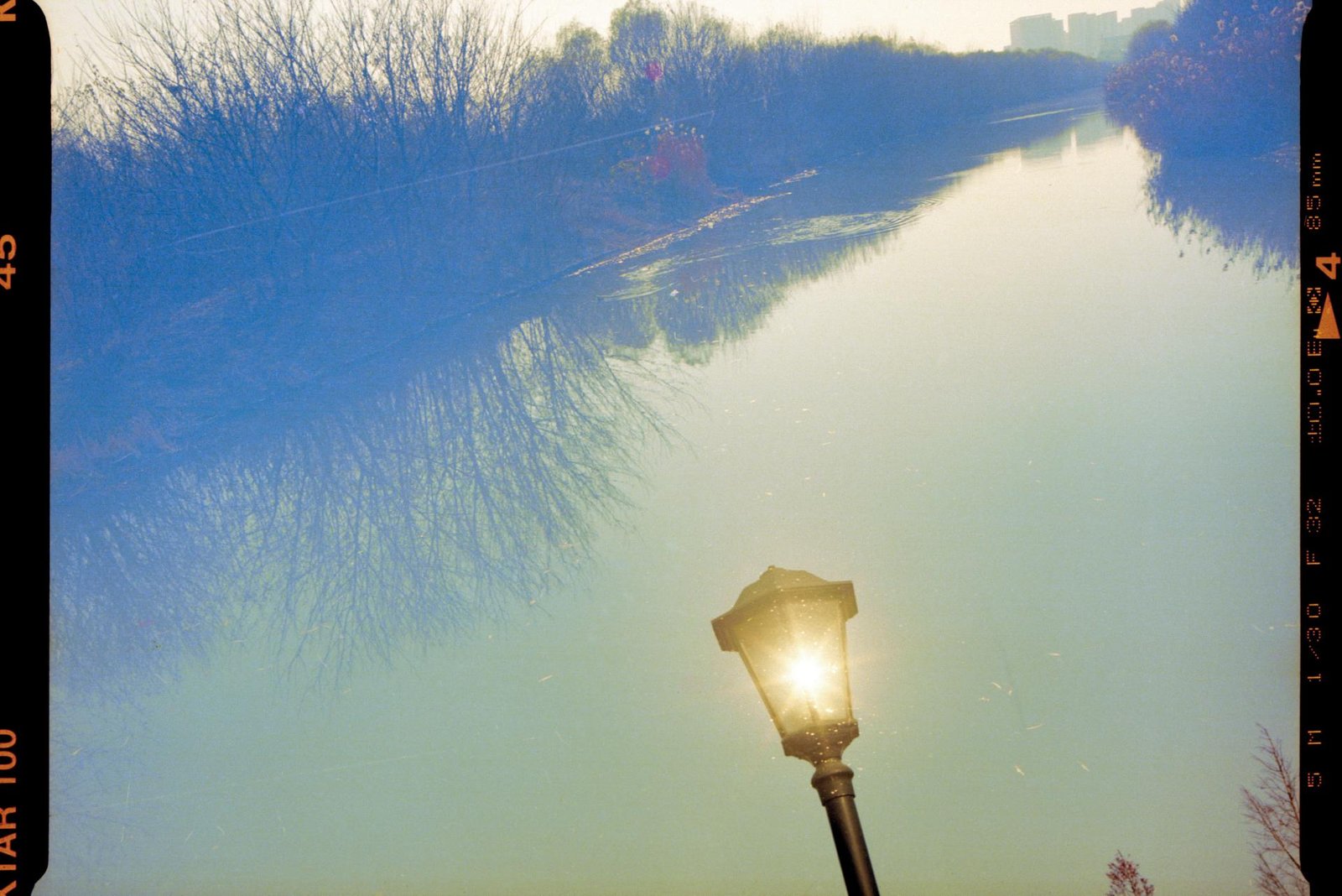 European Photography Awards Winner - Year 3000 flower blossom, this weather, and today