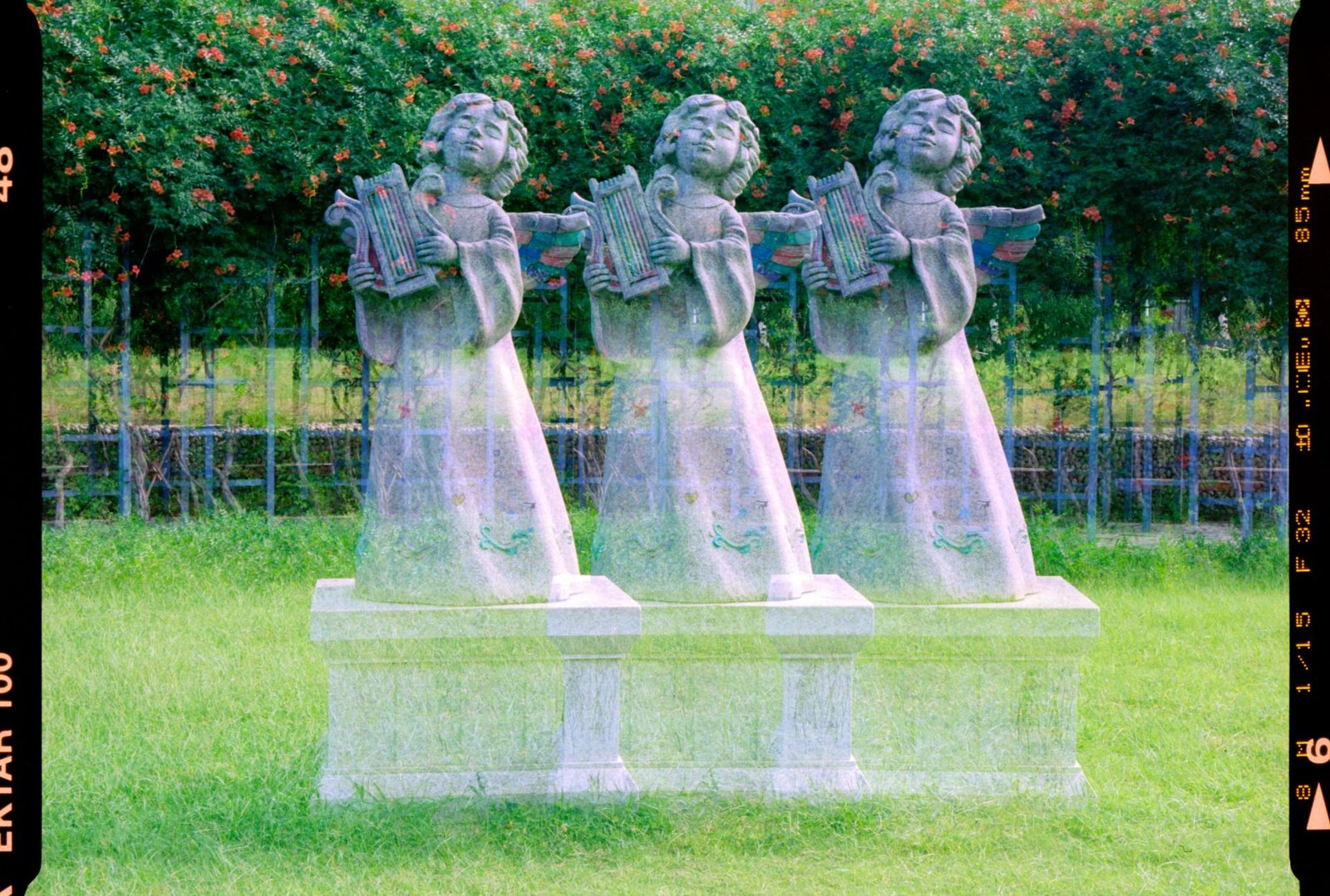 European Photography Awards Winner - Year 3000 flower blossom, this weather, and today