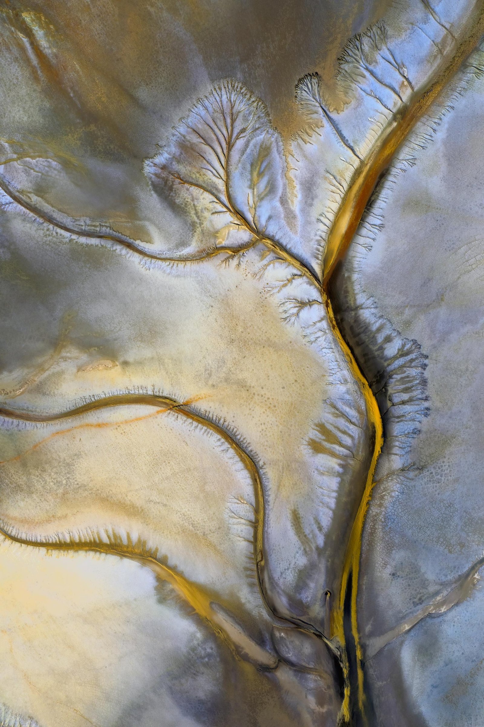 European Photography Awards Winner - Ancestral