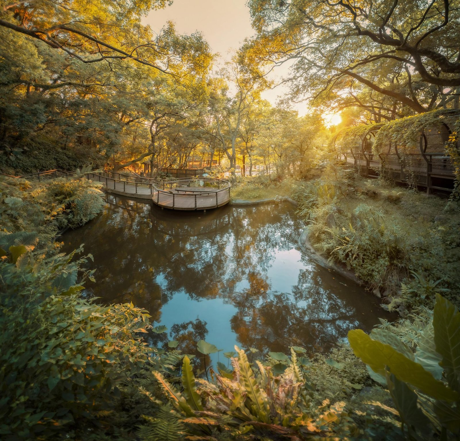 European Photography Awards Winner - A journey to belong-Amman Estate新潤-安曼莊園