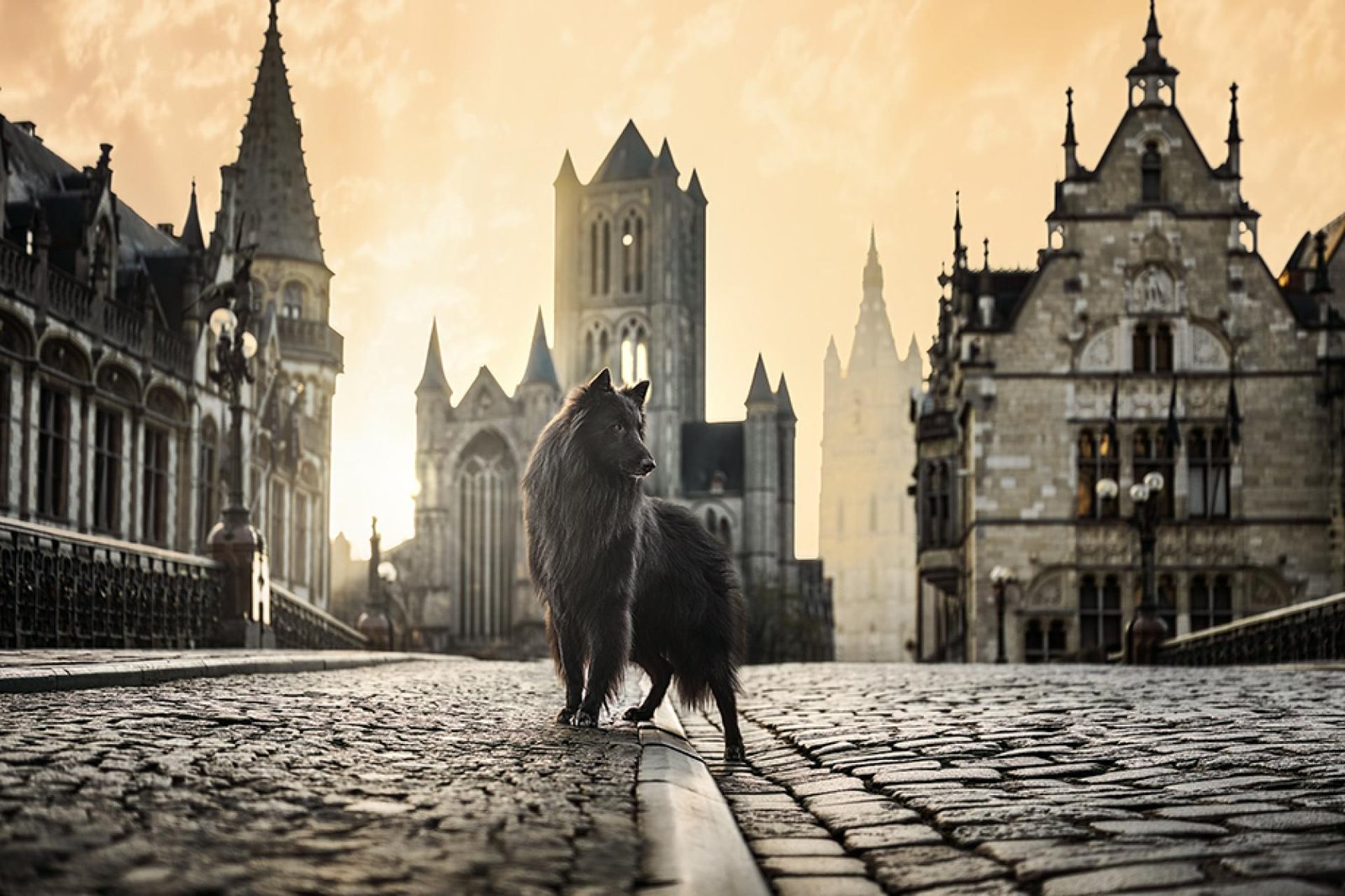 European Photography Awards Winner - Ghost Guardian of Ghent