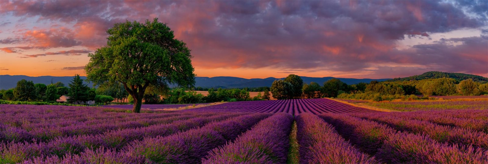 European Photography Awards Winner - An Evening in France