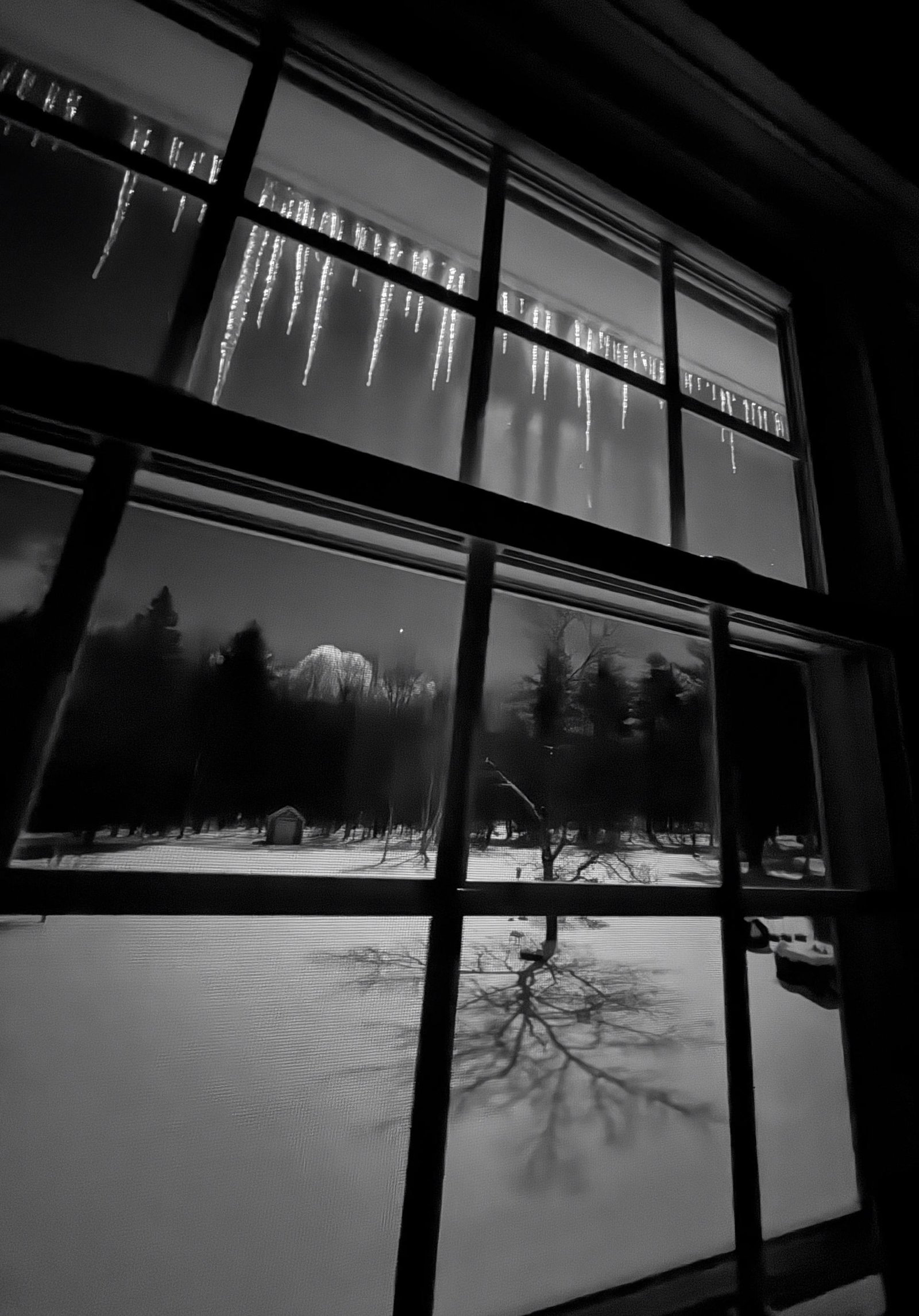 European Photography Awards Winner - Black and White seasonal perspectives
