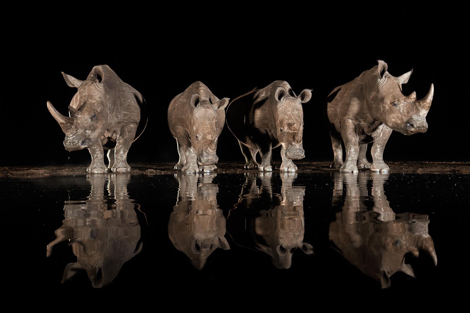 European Photography Awards Winner - A Moment After Dark